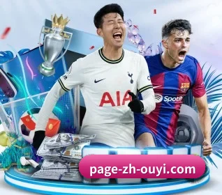 五大服务分区,信息按项目分类 | OUYI